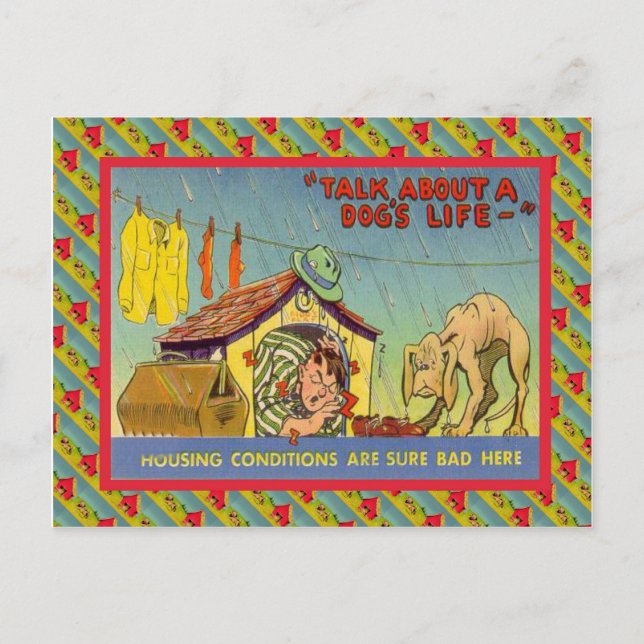 Sprich über das Leben eines Hundes! Postkarte (Vorderseite)