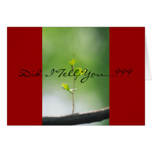 Sprichwort-18:21 - Liebe