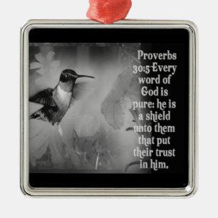 SPRICHWORT-30:5 VERZIERUNGS-GOTT IST EIN SCHILD SILBERNES ORNAMENT