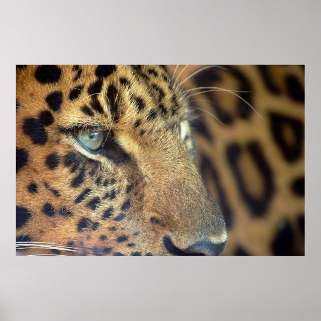 Sprichwort Auf Wiedersehen... Poster (Vorne)