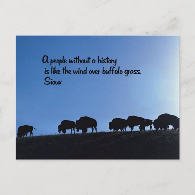 Sprichwort des alten Amerikanischen Ureinwohners Postkarte (Vorderseite)