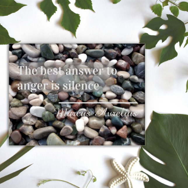 Sprichwort Die beste Antwort ist das Stille Poster (Von Creator hochgeladen)