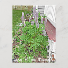 Sprichwort Hi von Wisconsin Postkarte