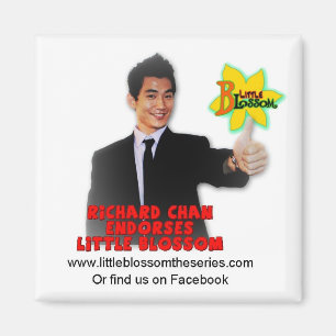 "Sprichwort-" Magnet Richard Chan