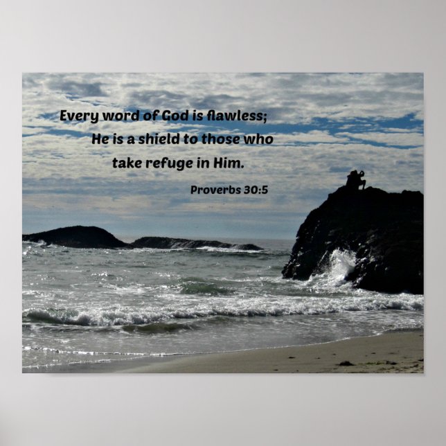 Sprichwörter 30:5 Jedes Wort Gottes ist makellos.. Poster (Vorne)