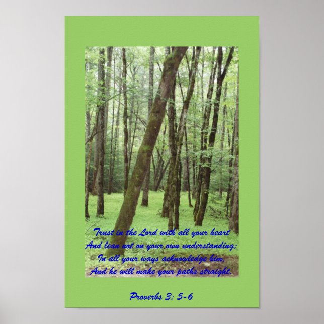 Sprichwörter 3: 5-6 Poster mit schönen grünen Bäum (Vorne)