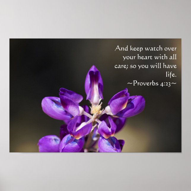 Sprichwörter 4:23 poster (Vorne)