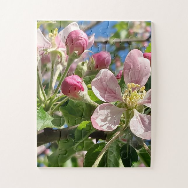 Spring Apple Blossoms (Vertikal)