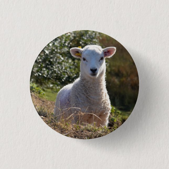Spring Baby Lamb Button / Abzeichen (Vorderseite)