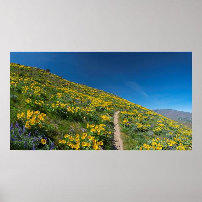 Spring Balsam Superbloom Poster (Vorne)
