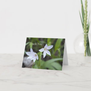 Spring Beauty Dankeskarte