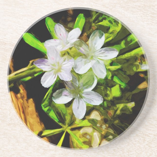 Spring Beauty eine Lila Wildblume Abstrakt Sandstein Untersetzer (Vorne)