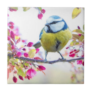 Spring Bird Fliese