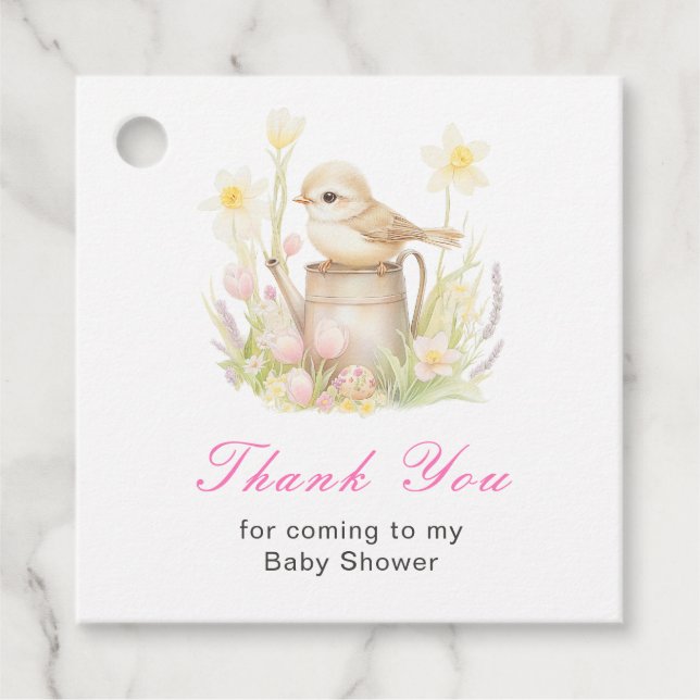 Spring Bird Watering Can Baby Shower Geschenkanhänger (Vorderseite)