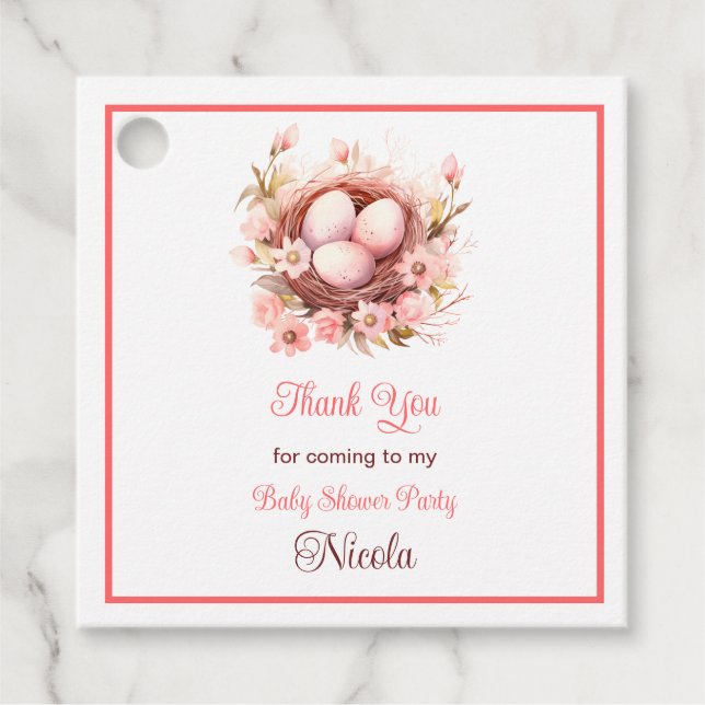 Spring Birds Nest Baby Shower Geschenkanhänger (Vorderseite)