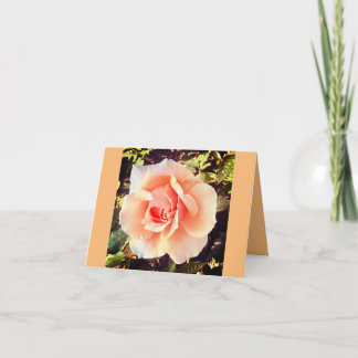 Spring Bloom Card Karte