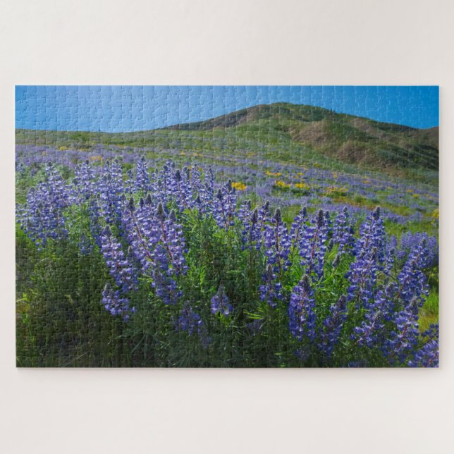 Spring Bloom in Sage Hills Wenatchee, Washington (Horizontal)