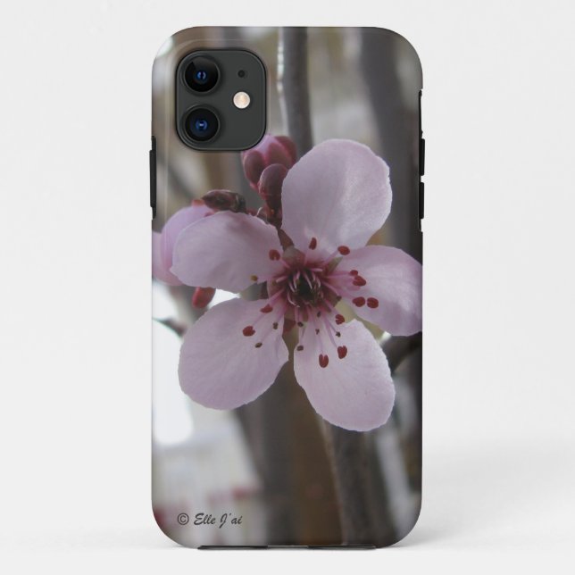 Spring Blossom iPhone 5 Fall Case-Mate iPhone Hülle (Rückseite)