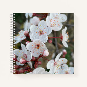 Spring Blossom Notizbuch
