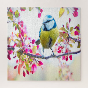 Spring Blue Bird