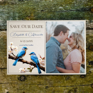 Spring Bluebirds Foto Save the Date Ankündigung