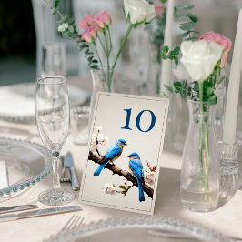 Spring Bluebirds Hochzeit Tischnummer