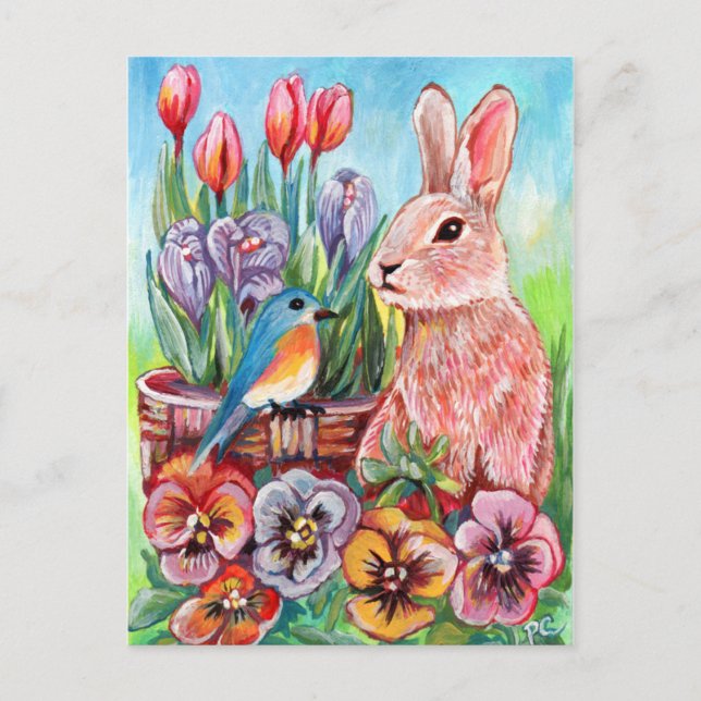 Spring Bunny Postkarte (Vorderseite)
