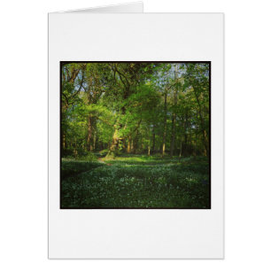 Spring Bute Park, Cardiff, Wales