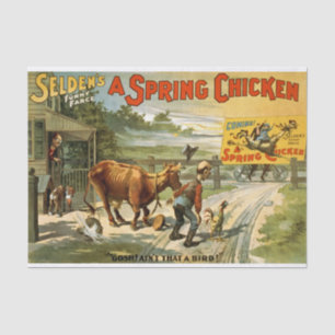 Spring Chicken Decoupage Seidenpapier