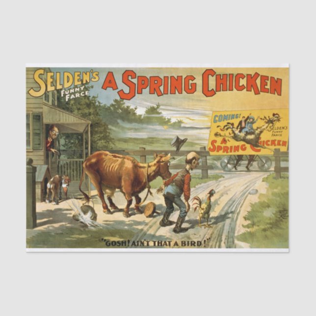 Spring Chicken Decoupage Seidenpapier (Vorderseite)