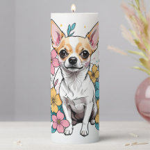 Spring Chihuahua