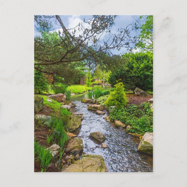 Spring Creek Painterly Postkarte (Vorderseite)