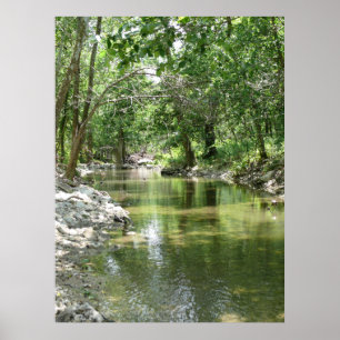 Spring Creek Tributary Poster