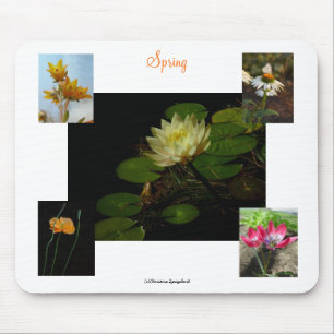 Spring Crocus Blume Mousepad