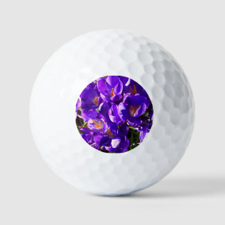 SPRING CROCUS GOLFBALL