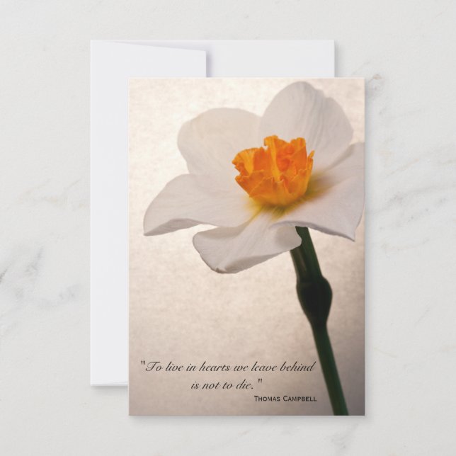 Spring Daffodil Vielen Dank für Ihr Beileid Dankeskarte (Vorderseite)