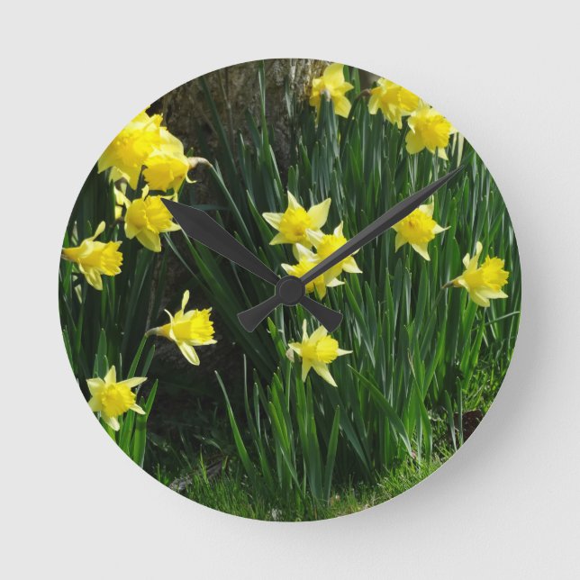 Spring Daffodils Runde Wanduhr (Vorderseite)