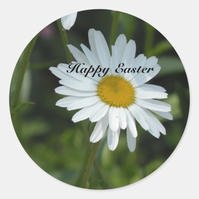 Spring Daisy Happy Oaster Runder Aufkleber (Vorderseite)