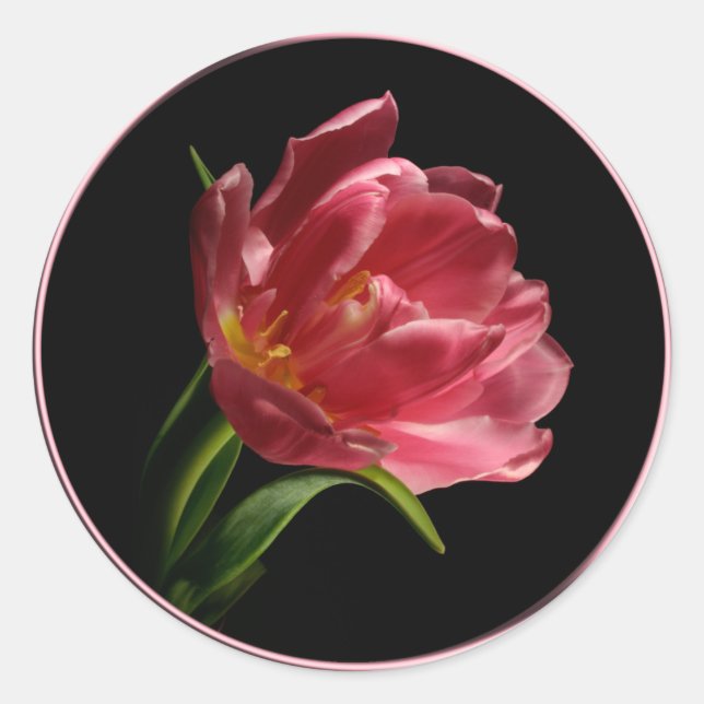 Spring Double Bloom Tulip Umschlag Aufkleber Stick (Vorderseite)