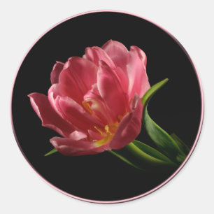 Spring Double Bloom Tulip Umschlag Aufkleber Stick