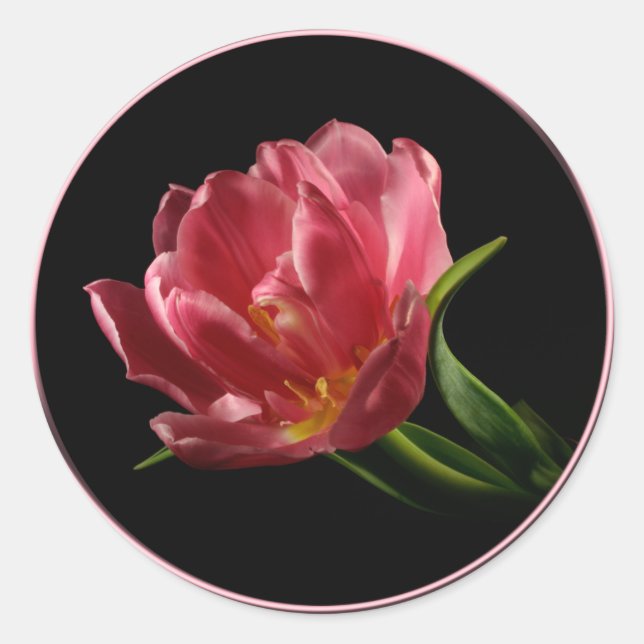Spring Double Bloom Tulip Umschlag Aufkleber Stick (Vorderseite)