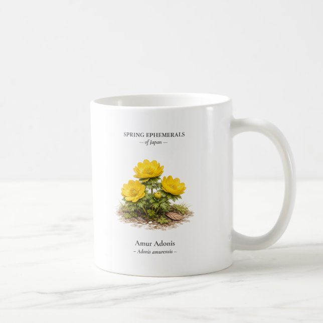 Spring Ephemerals of Japan – Amur Adonis Kaffeetasse (Rechts)