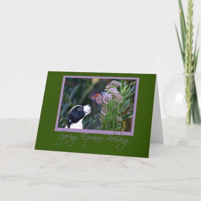 Spring Equinox Card Schmetterling und Welpe Ostara Karte (Vorderseite)