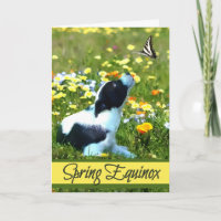 Spring Equinox Ostara Segen Welpe & Butterfly