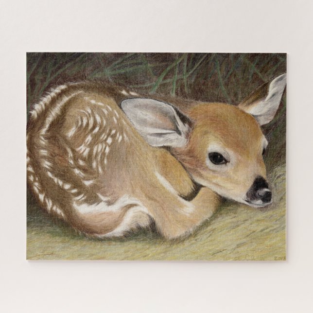 Spring Fawn (Horizontal)