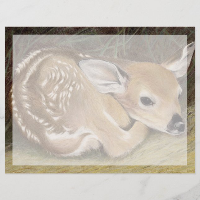 Spring Fawn (Vorderseite)