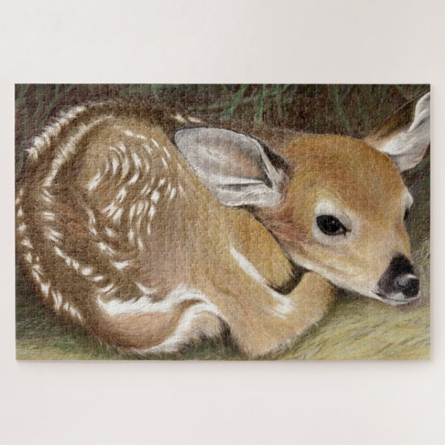 Spring Fawn (Horizontal)