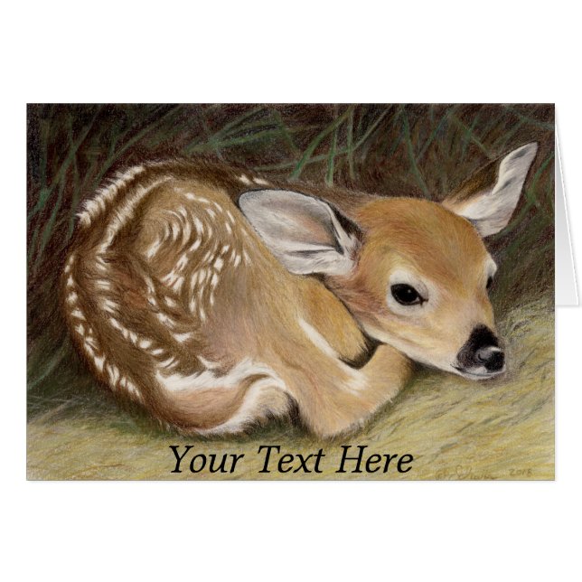 Spring Fawn (Vorderseite (Horizontal))