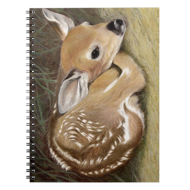 Spring Fawn Notizblock (Vorderseite)
