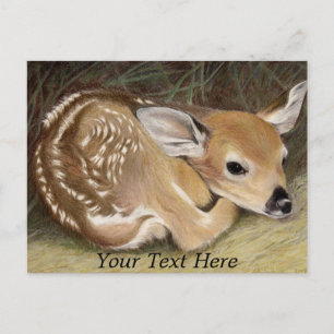 Spring Fawn Postkarte